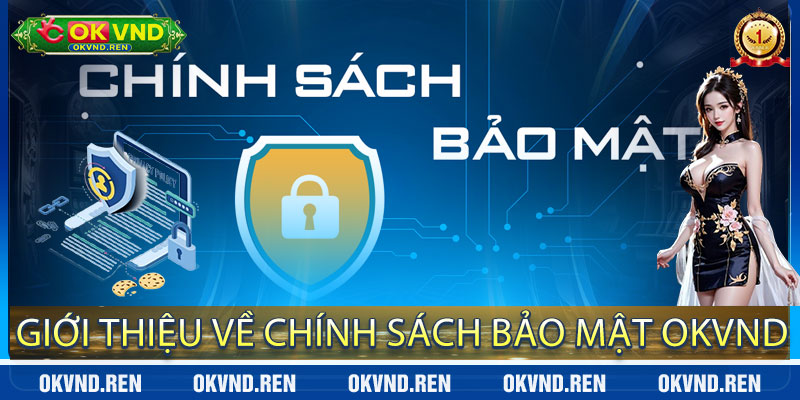 Giới thiệu về Chính Sách Bảo Mật OkVND
