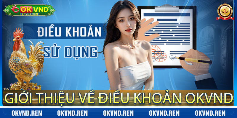 Giới thiệu về Điều Khoản OKVND