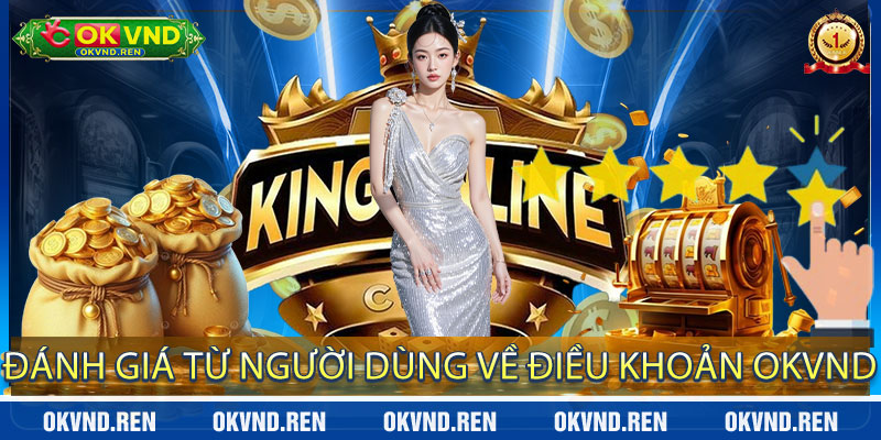 Đánh giá từ người dùng về Điều Khoản OKVND
