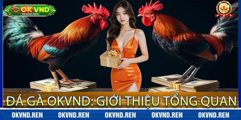 Đá Gà OKVND: Giới thiệu tổng quan