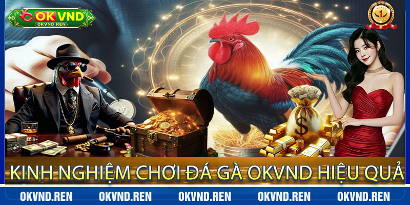 Kinh nghiệm chơi Đá Gà OKVND hiệu quả